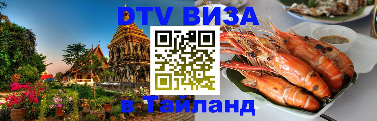 Оформление DTV визы под ключ: стоимость и тарифы, только загранпаспорт - Набережные Челны  07.12.2025 